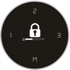 Locking Function Display